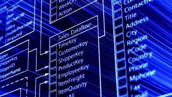 數(shù)據(jù)驅(qū)動未來 一所值得你首選的大學(xué)如何打造卓越的數(shù)據(jù)處理與存儲支持服務(wù)